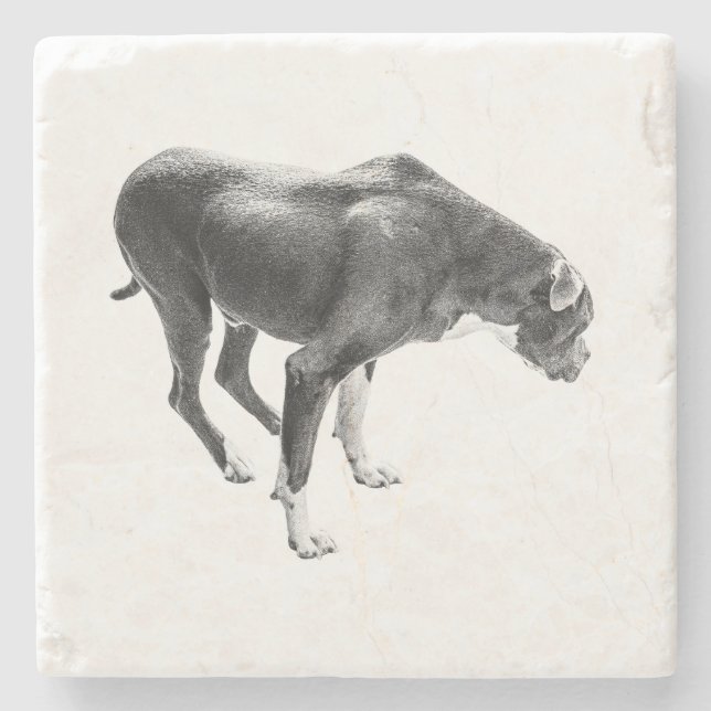 Autumn Table Guardian Stone Coaster (Front)