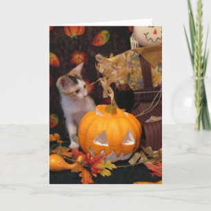 Autumn - The Halloween Kitten Greeting Card