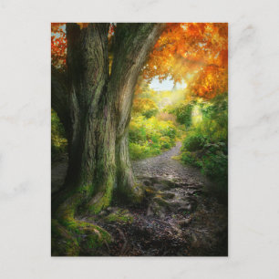 Autumn - The path to grannies house Postcard