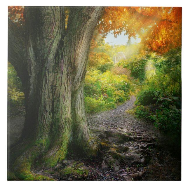 Autumn - The path to grannies house Tile (Front)