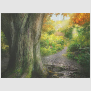 Autumn - The path to grannies house Tissue Paper