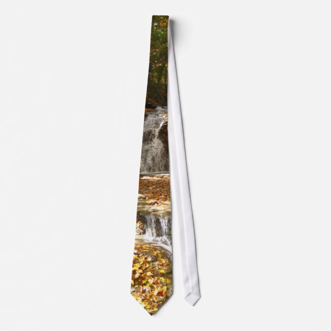 Autumn tie (Front)