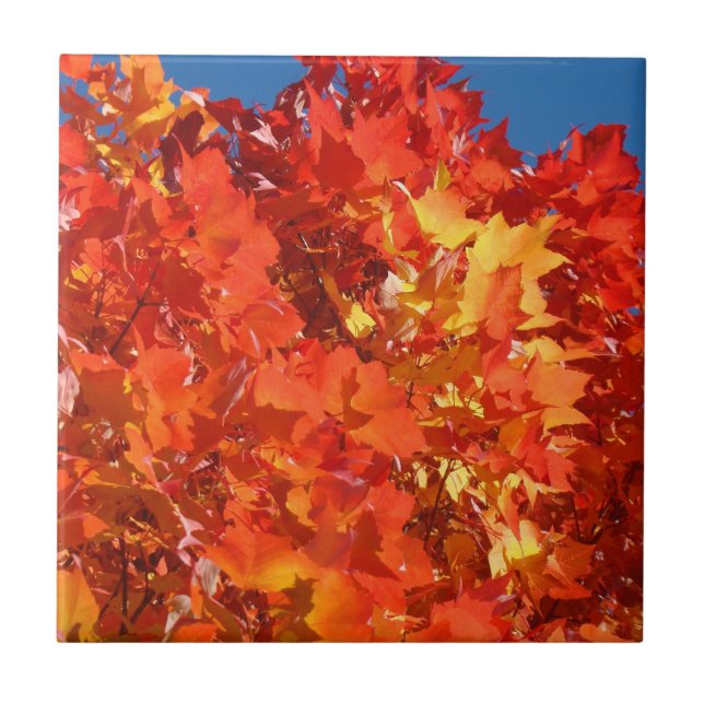 Autumn Tiles Art Orange Fall Tree Leaves Art (Front)