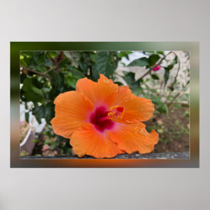 Autumn torn petals poster