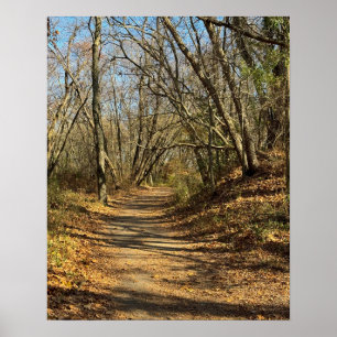 Autumn Trail Poster