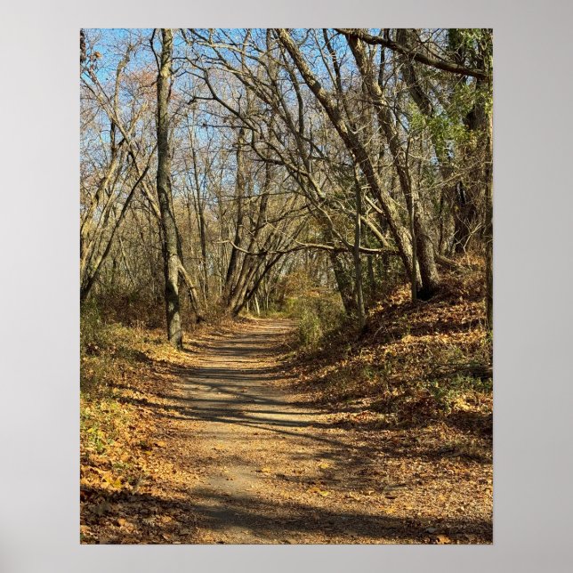 Autumn Trail Poster (Front)