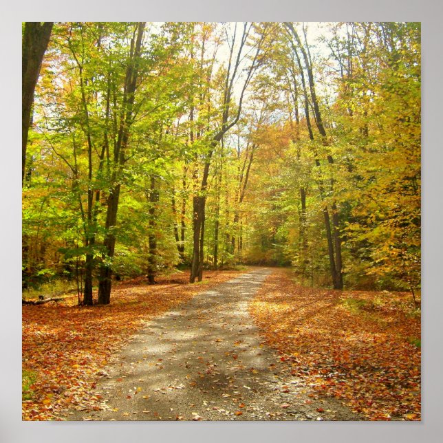 Autumn Trail Poster (Front)