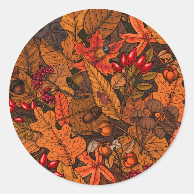 Autumn treasures classic round sticker (Front)