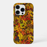 Autumn treasures