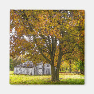 Autumn Tree And Barn Painterly Magnet