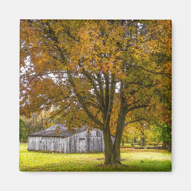 Autumn Tree And Barn Painterly Magnet (Front)