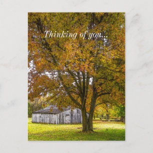 Autumn Tree And Barn Painterly Thinking Of You Postcard