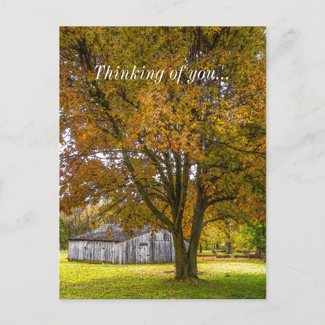 Autumn Tree And Barn Painterly Thinking Of You Postcard (Front)