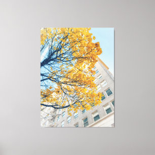 Autumn Tree and Building Facade  Canvas Print