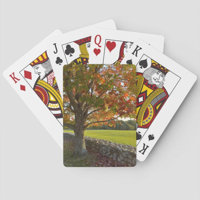Autumn Tree at Stone Wall Playing Cards (Back)