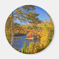 Autumn tree landscape, Maine