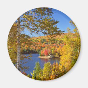 Autumn tree landscape, Maine Magnet