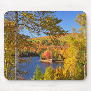 Autumn tree landscape, Maine Mouse Mat