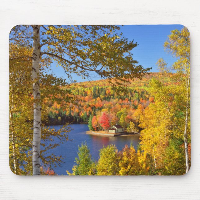 Autumn tree landscape, Maine Mouse Mat (Front)