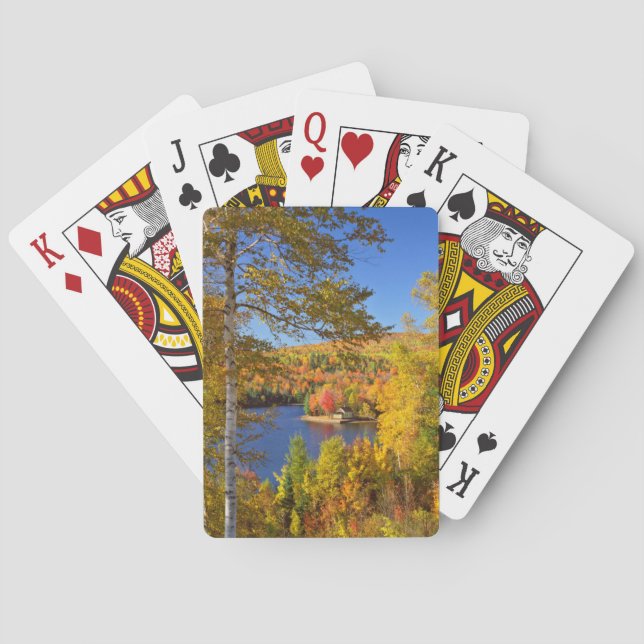 Autumn tree landscape, Maine Playing Cards (Back)