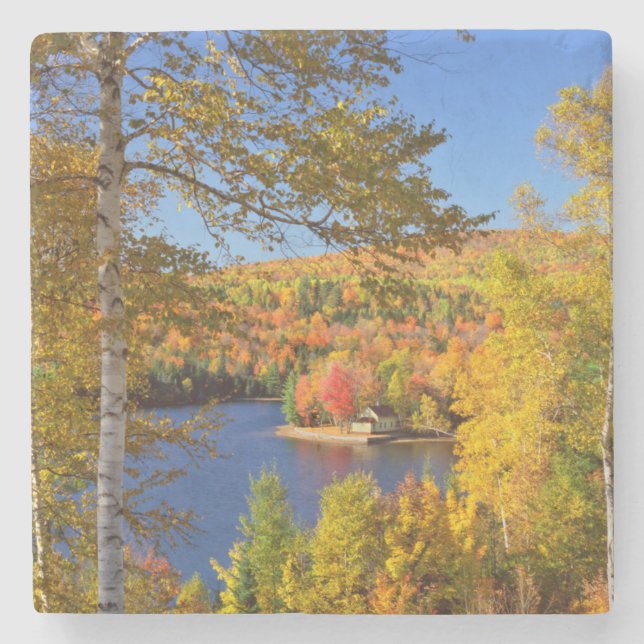 Autumn tree landscape, Maine Stone Coaster (Front)