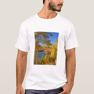 Autumn tree landscape, Maine T-Shirt