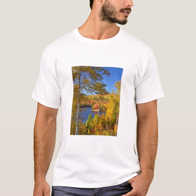 Autumn tree landscape, Maine T-Shirt (Front)