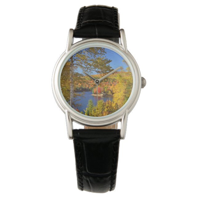 Autumn tree landscape, Maine Watch (Front)