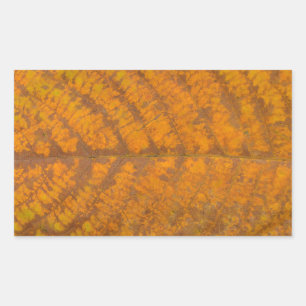 autumn tree leaf texture pattern background nature rectangular sticker
