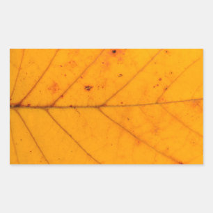 autumn tree leaf texture pattern background nature rectangular sticker