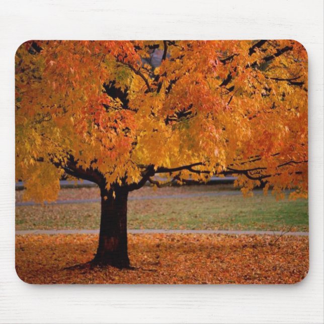 Autumn Tree Mousepad (Front)