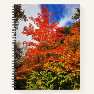 Autumn tree notebook