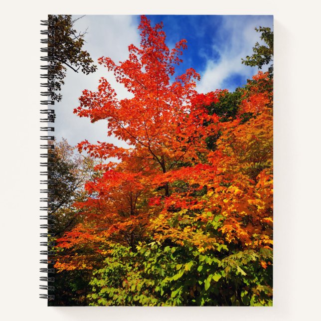 Autumn tree notebook (Front)