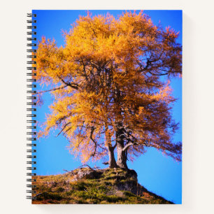 Autumn Tree Notebook