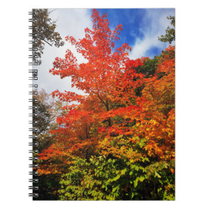 Autumn tree notebook