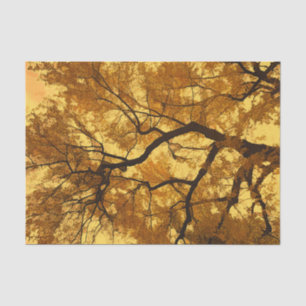 Autumn Tree Orange Leaves Yellow Sky Tissue Paper
