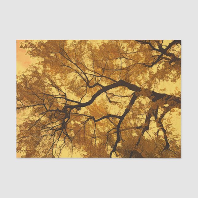 Autumn Tree Orange Leaves Yellow Sky Tissue Paper (Front)