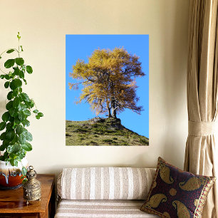 Autumn Tree Poster