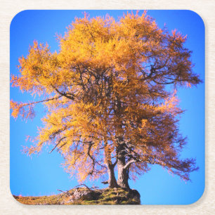 Autumn Tree Square Paper Coaster