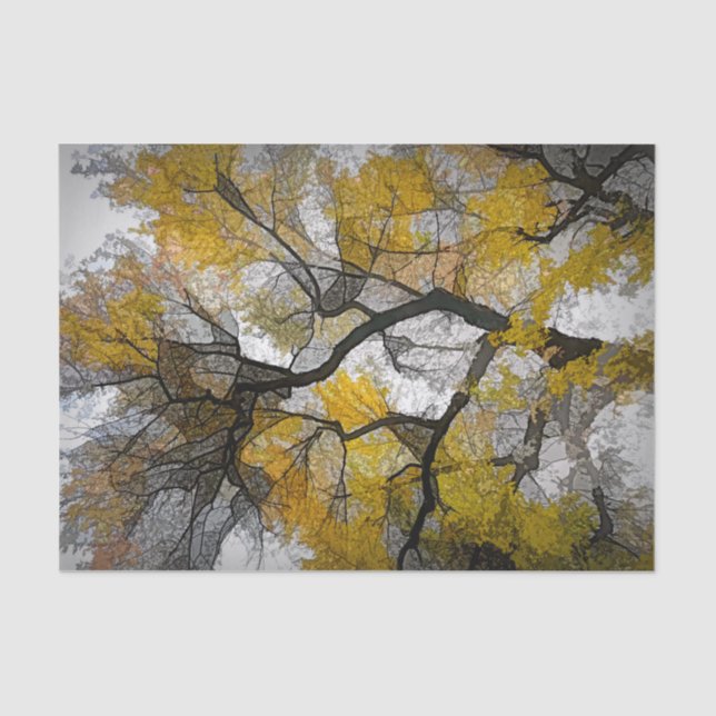 Autumn Tree Yellow Grey Leaves Sky Tissue Paper (Front)