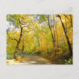 Autumn Trees 2004 Photo ... Bradley Park Postcard