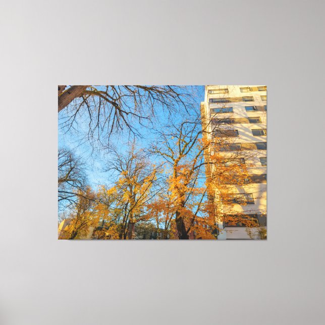 Autumn Trees and Building Facade Canvas Print (Front)