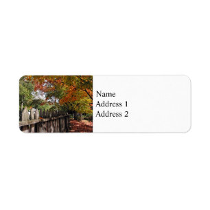 Autumn Trees and Picket Fence