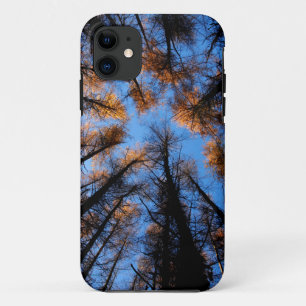 Autumn trees at sunset iPhone 11 case