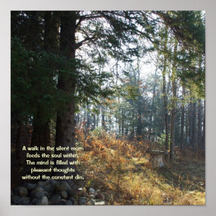 Autumn Trees in Early Morning-Healing Poem Poster