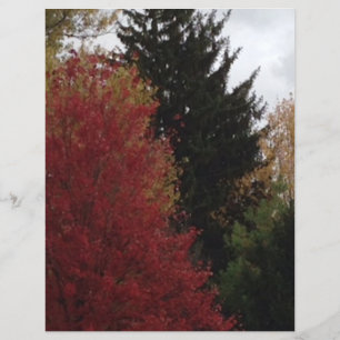 Autumn Trees in Red Yellow Green Scrapbook Paper