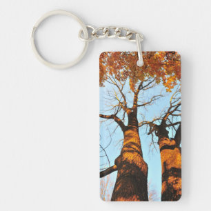 Autumn trees key ring