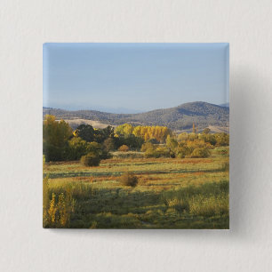 Autumn Trees, Khancoban, Snowy Mountains, New 15 Cm Square Badge