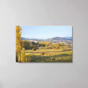 Autumn Trees, Khancoban, Snowy Mountains, New Canvas Print