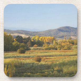 Autumn Trees, Khancoban, Snowy Mountains, New Coaster